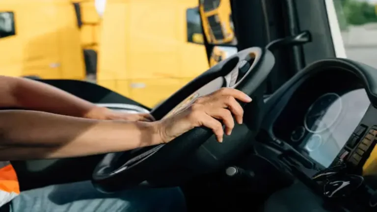 Bus and Truck Driver